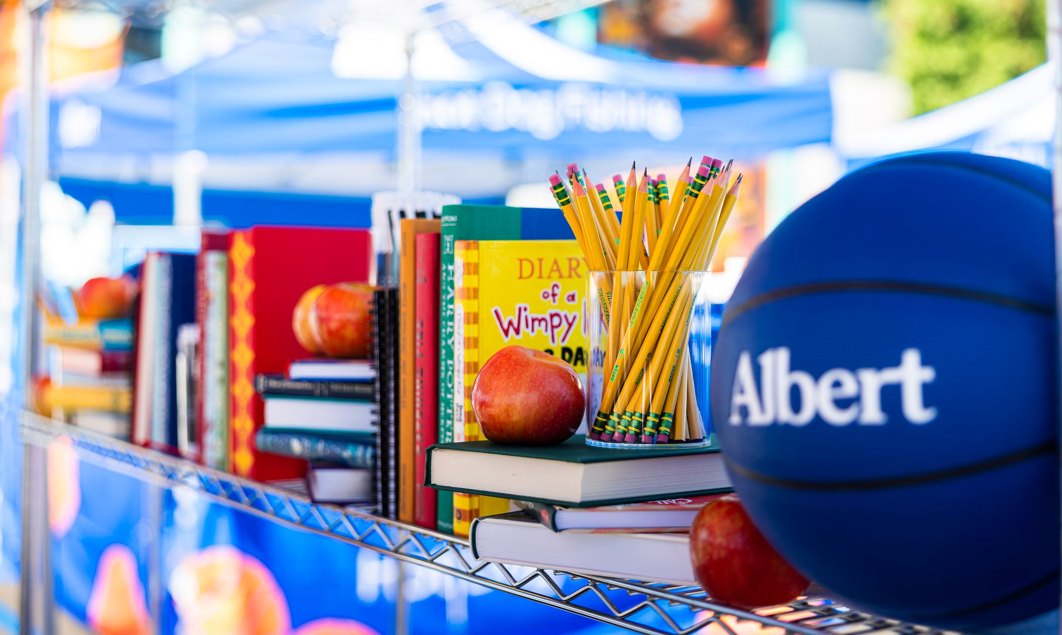 Albert back to school