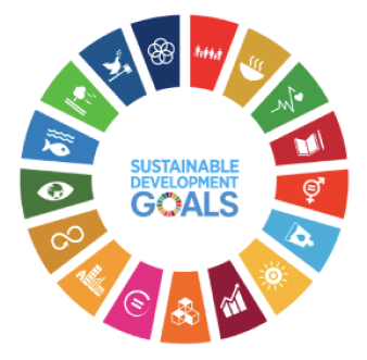Sustainable Development goals logo