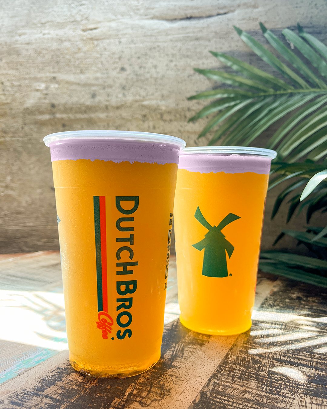 Two Dutch Bros cups of golden beer or tea with foam on top, displayed on wooden surface with palm fronds in background.