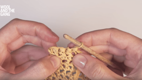 How to single crochet through the front loop with Ra-Ra Raffia - Step 5