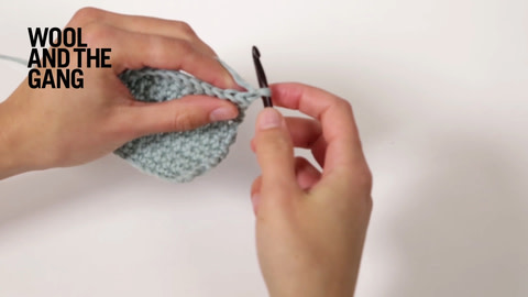 How To:  Single Crochet Through The Back Loop - Step 2