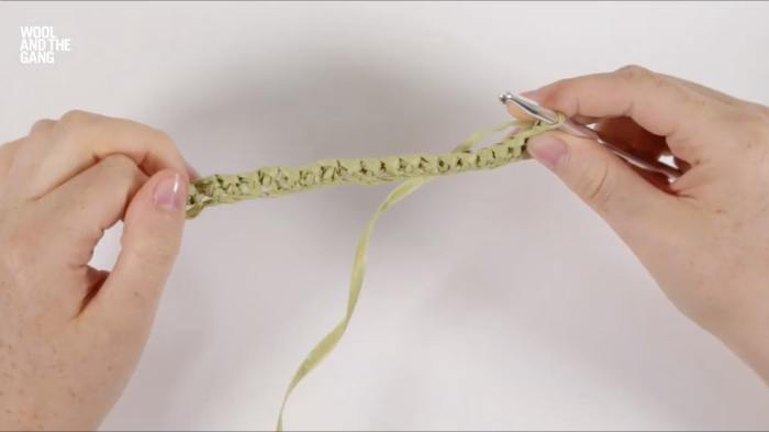 How To: Crochet Single Crochet Braid Stitch - Step 3