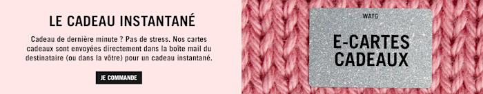 GIFT-CARD BANNER FR (1)