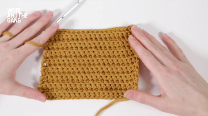 How To Crochet A Single Ridge Stitch - Step 4