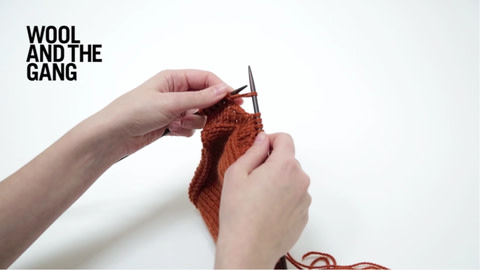 How to knit buttonbands - step 9