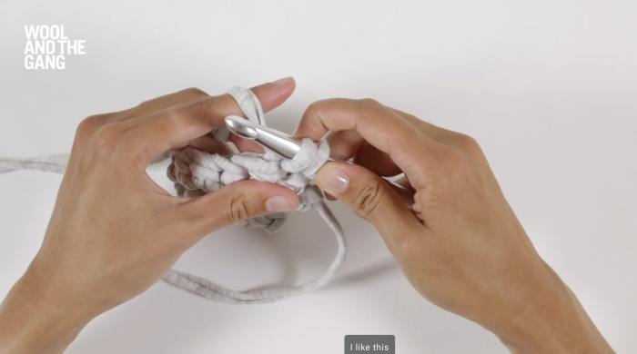 How-to-crochet-single-crochet-step-8
