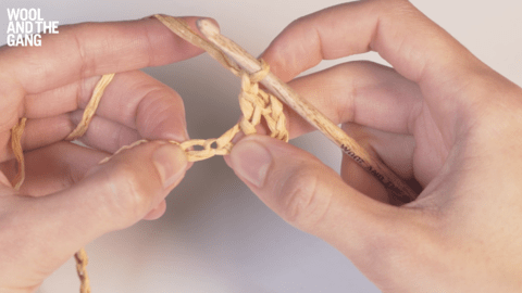 How to Make Double Crochet Chain Spaces - Step 4