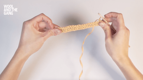 How to Crochet Both Sides Of The Foundation Chain - Step 6