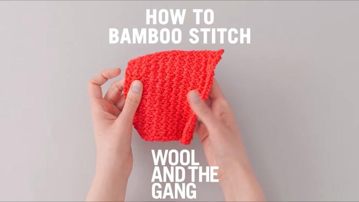 how to- knit mosaic slip stitch - step 1