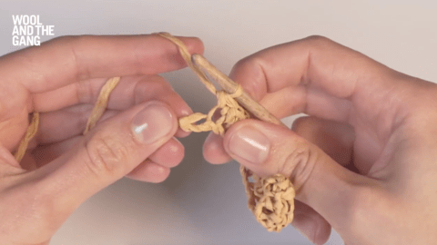 How to Crochet Both Sides Of The Foundation Chain - Step 3