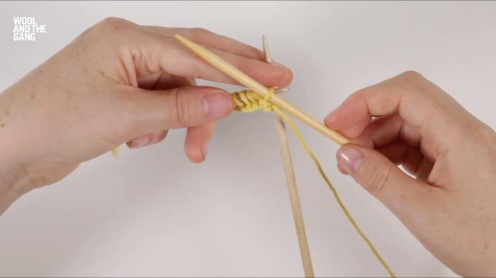 How To Knit Travelling Slip Stitch - Step 2