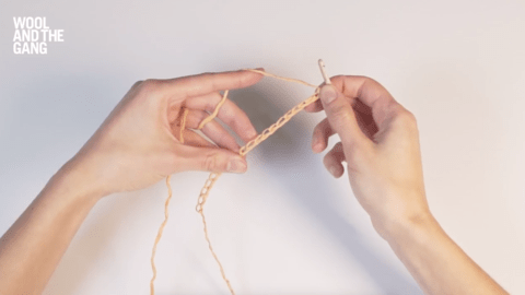 How to Crochet Both Sides Of The Foundation Chain - Step 2