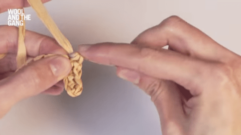 How To: Work In Single Crochet With Ra-Ra Raffia - Step 5