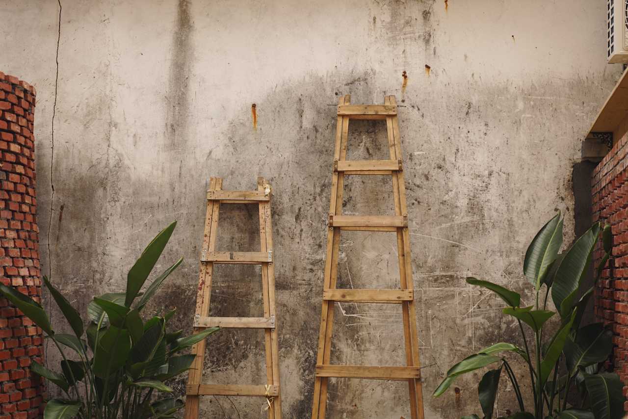 Ladder