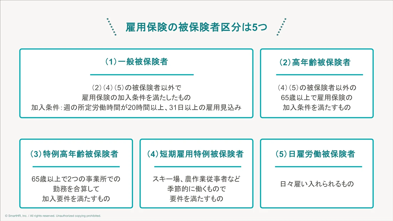 年齢や雇用期間などにより、被保険者はいくつかの区分に分かれます。ここでは、被保険者区分による違いを解説します。