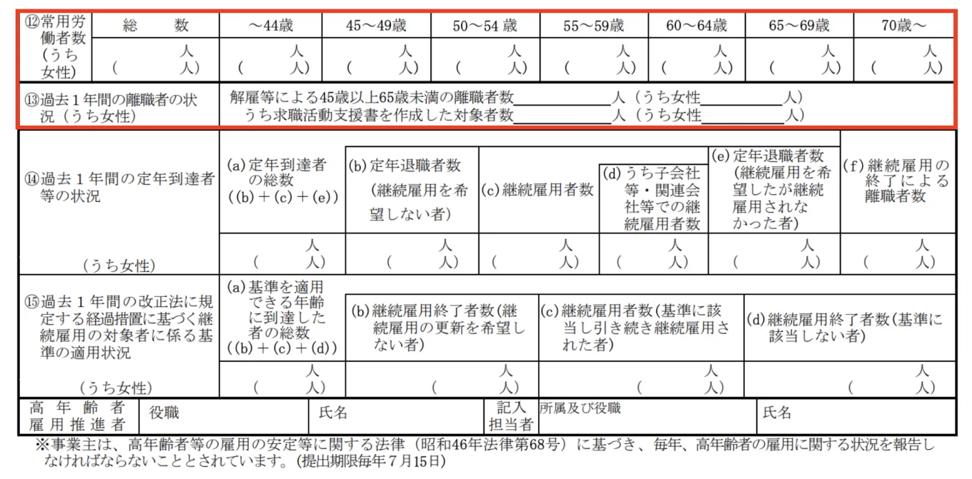 「高年齢者雇用状況報告書様式」⑫常用労働者数、⑬過去1年間の離職者の状況