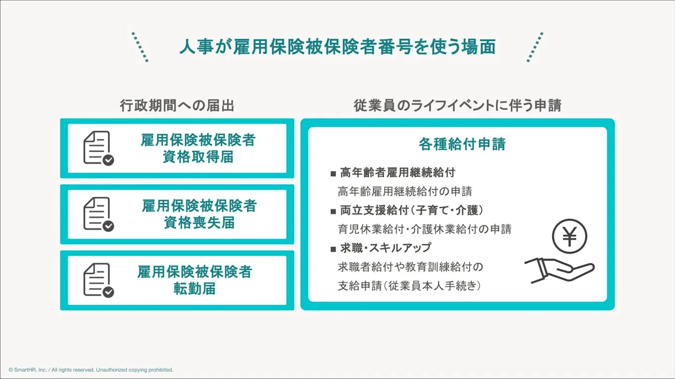 人事が雇用保険被保険者番号を使う場面