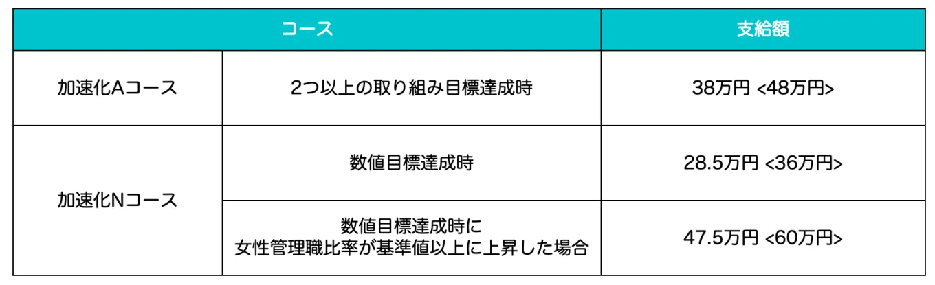 女性活躍加速化コースの助成金支給額