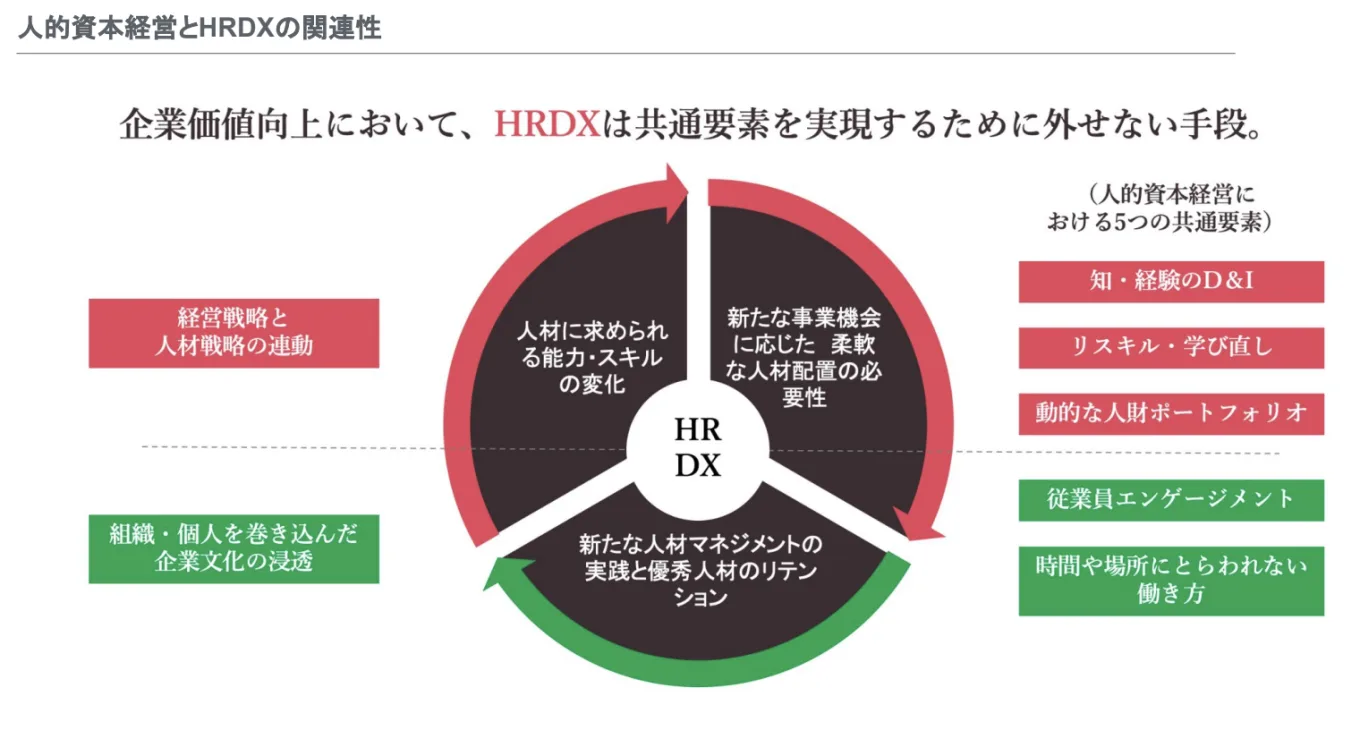人的資本経営とHRDXの関連性