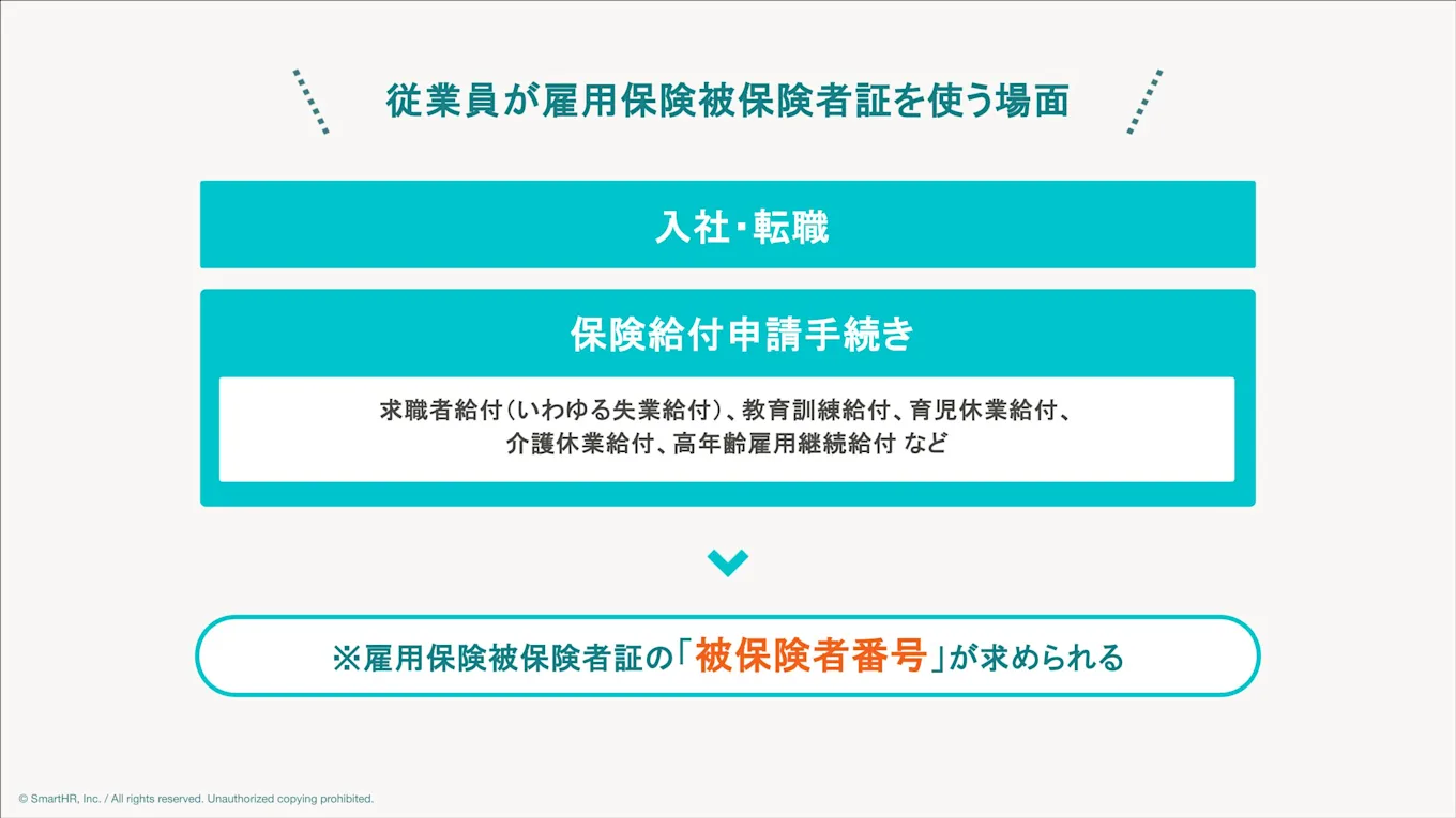 従業員が雇用保険被保険者証を使う場面