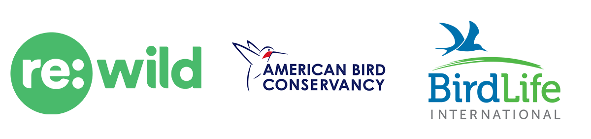 Logos of Re:wild, American Bird Conservancy and BirdLife International