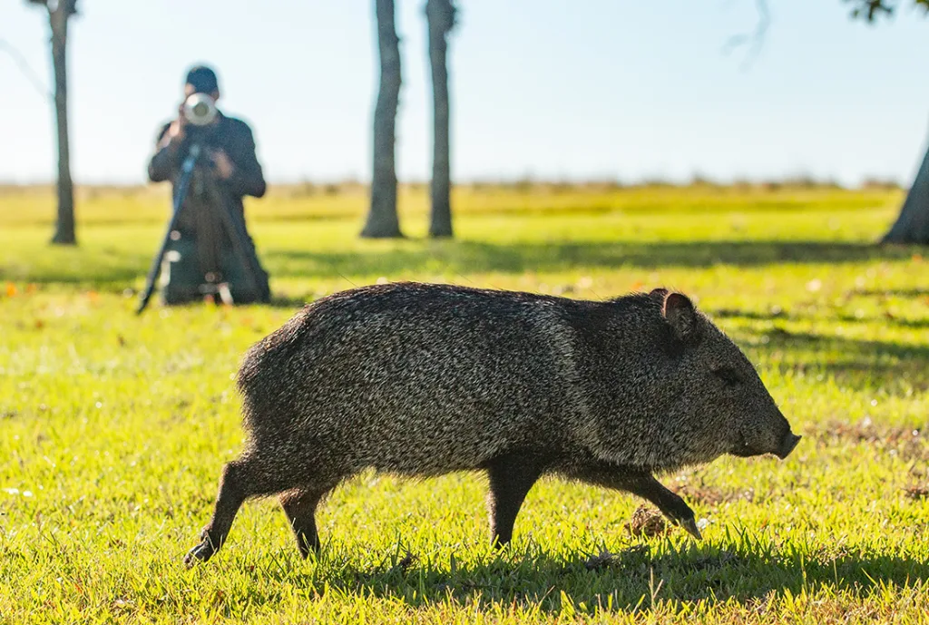 Rewilding trainers let people disperse plants as they run