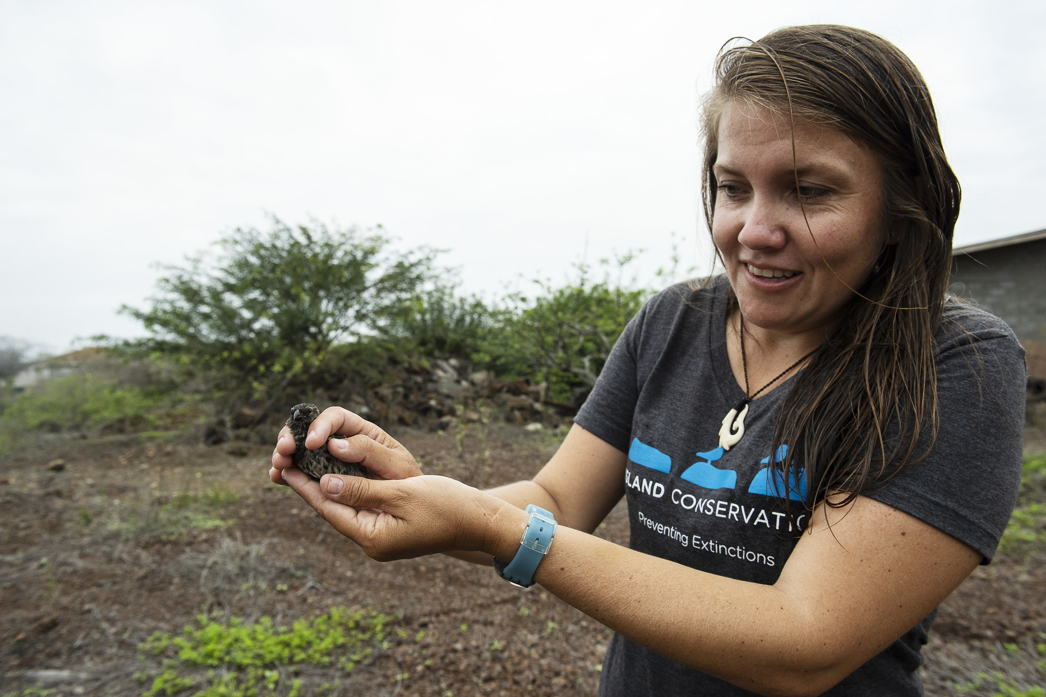 Paula preparing to release a finch into the wild. (Photo by Andy Wright)
