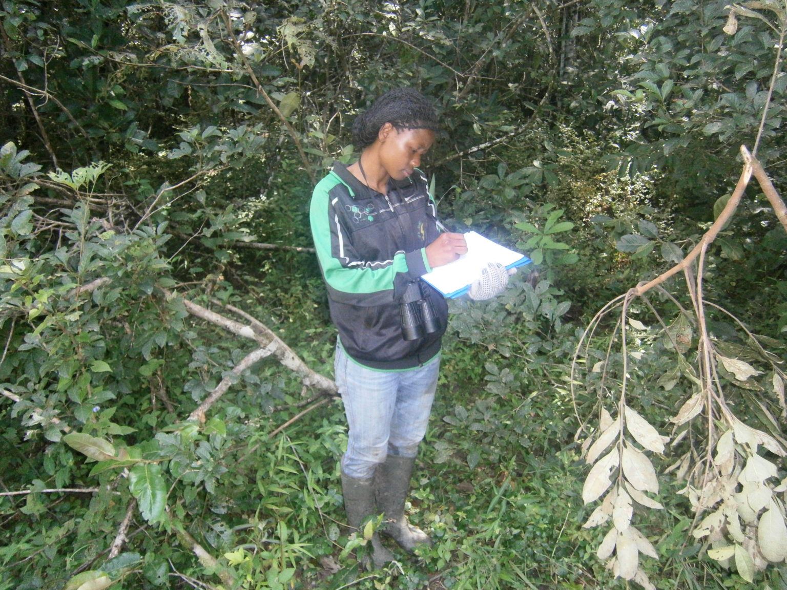Florence Aghomo doing research in the field. (Photo courtesy of Florence Aghomo)