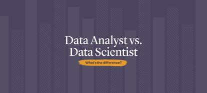 Text: Data Analyst vs. Data Scientist: What's the Difference?
