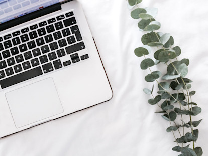 A laptop on a bed next to a plant