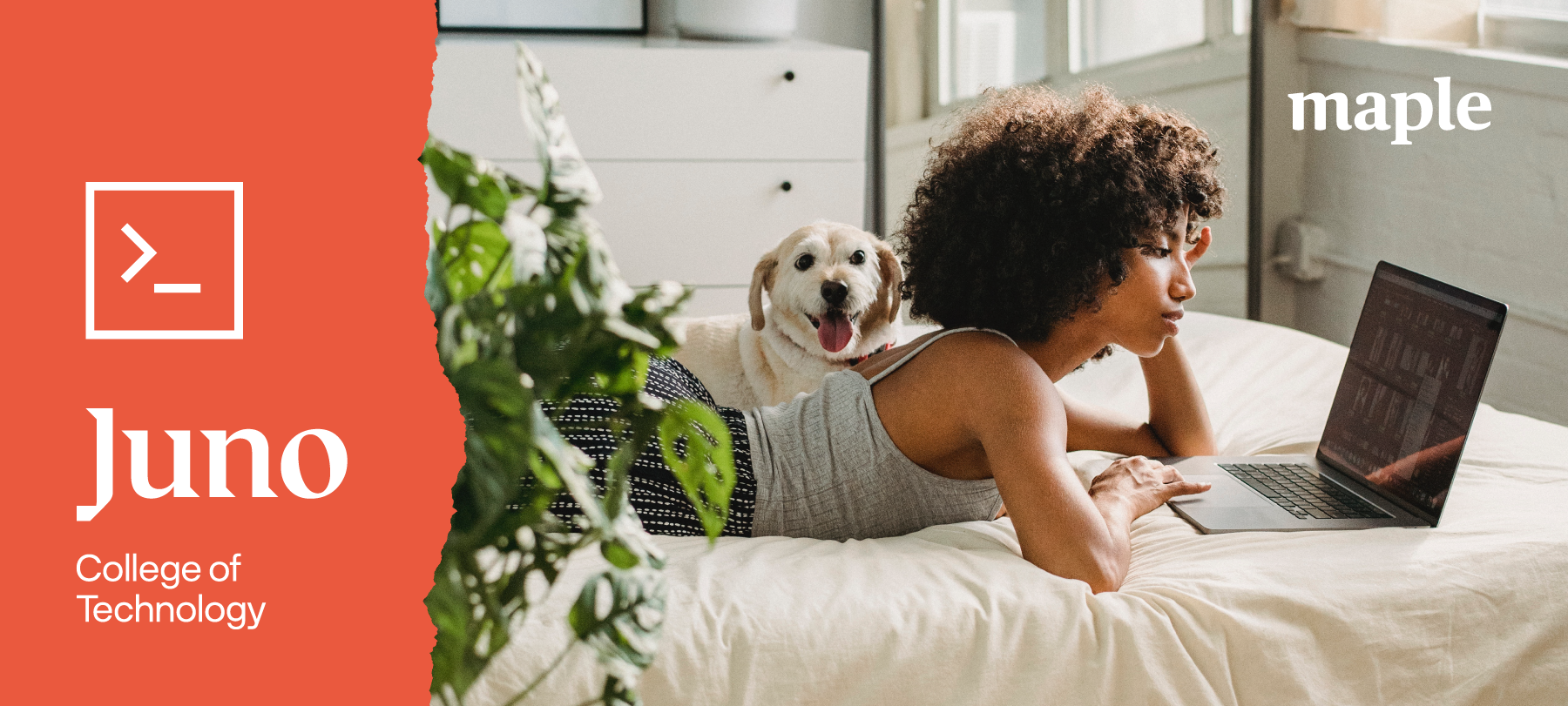 A woman lies on her stomach in bed, looking at her laptop. A friendly dog is next to her in bed.