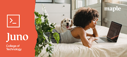 A woman lies on her stomach in bed, looking at her laptop. A friendly dog is next to her in bed.