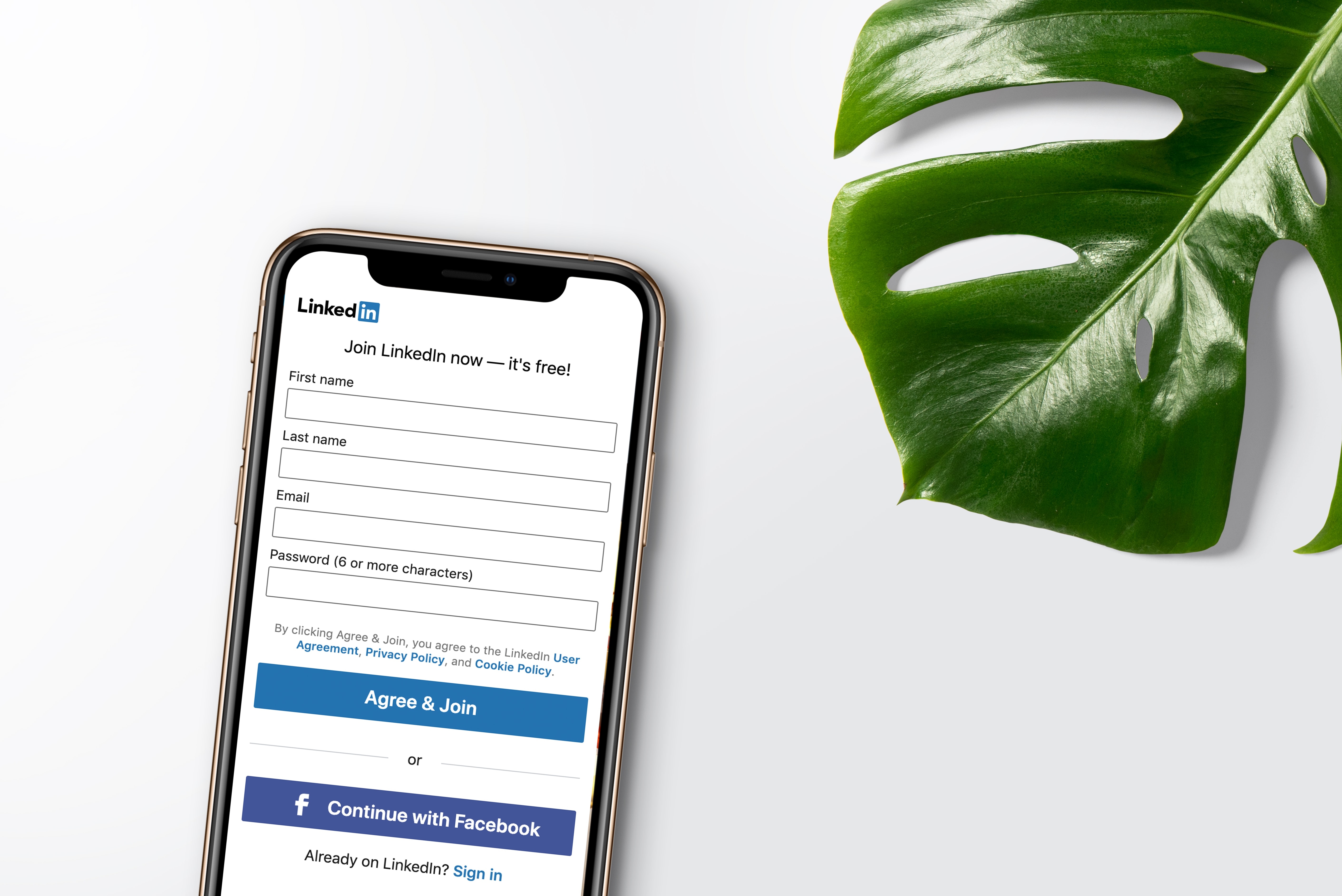 A cellphone with a LinkedIn account signup page on its screen. A monstera plant leaf lies beside it.