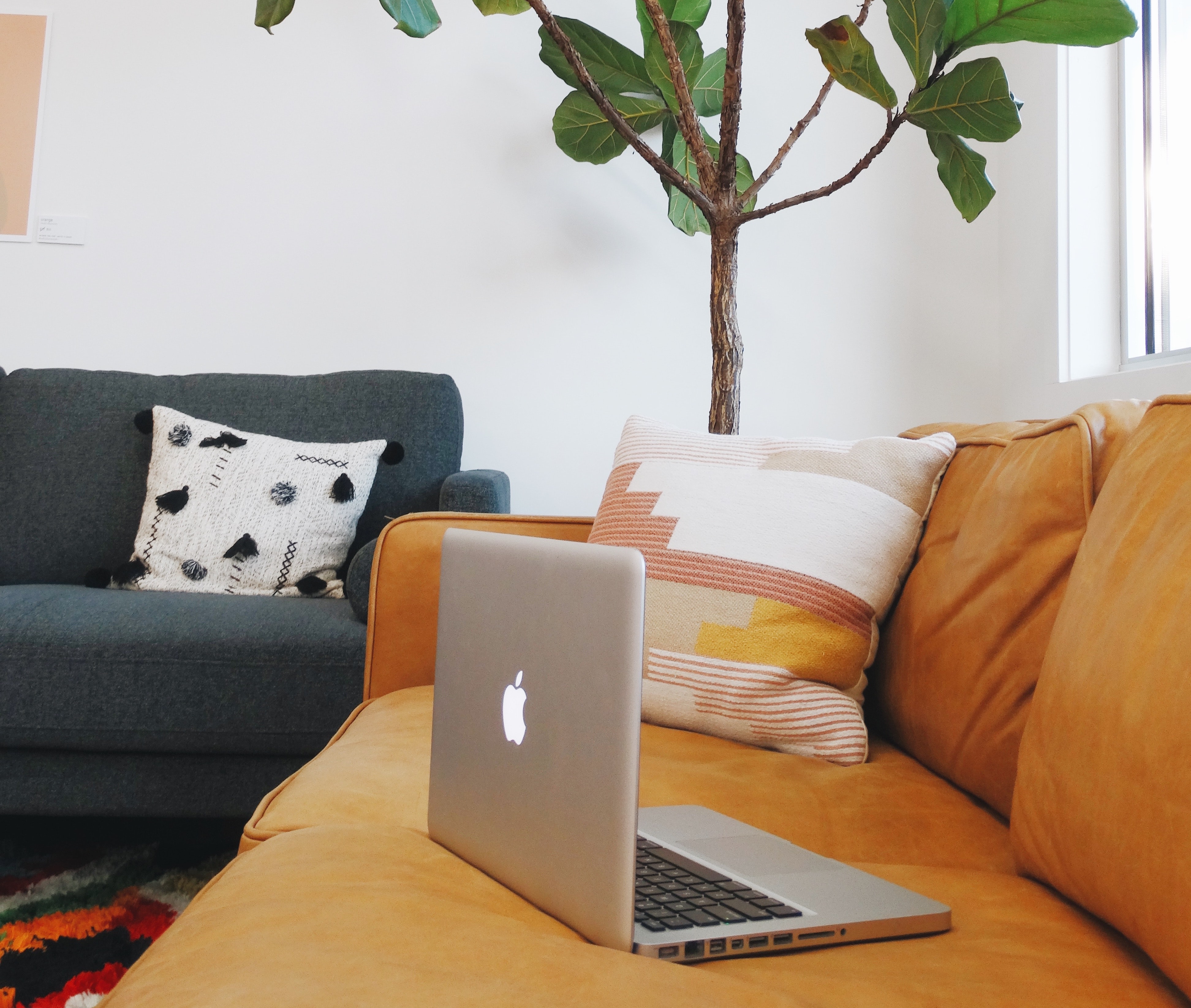 Work from home setup