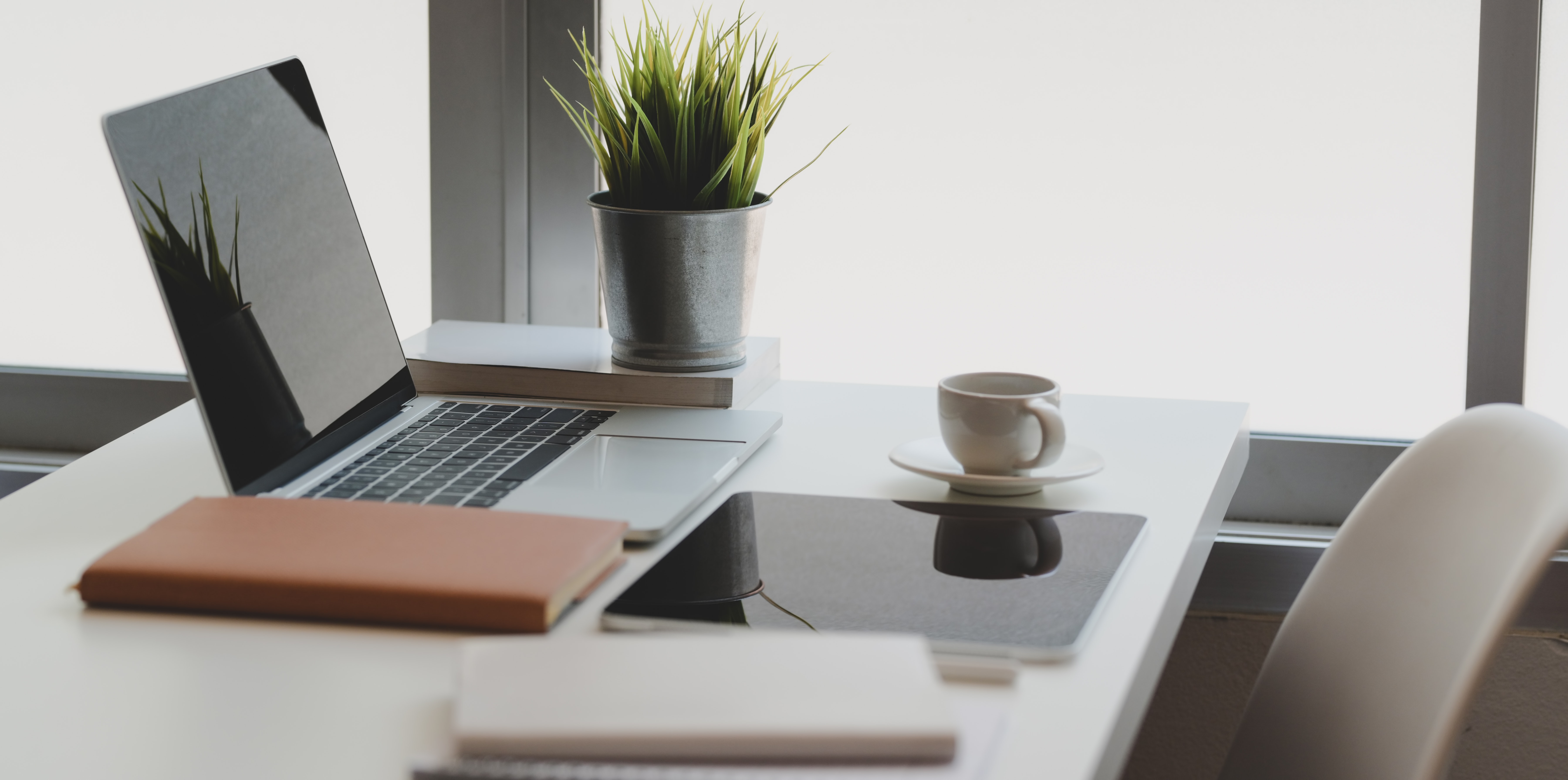 Computer, plant, and mug