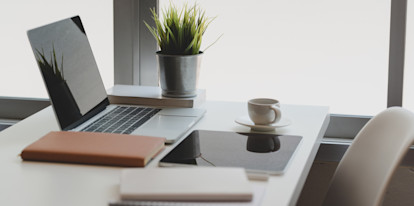 Computer, plant, and mug
