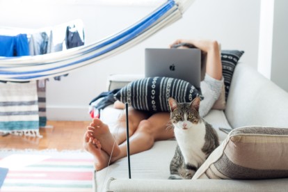 Person lounging on couch with laptop and cat