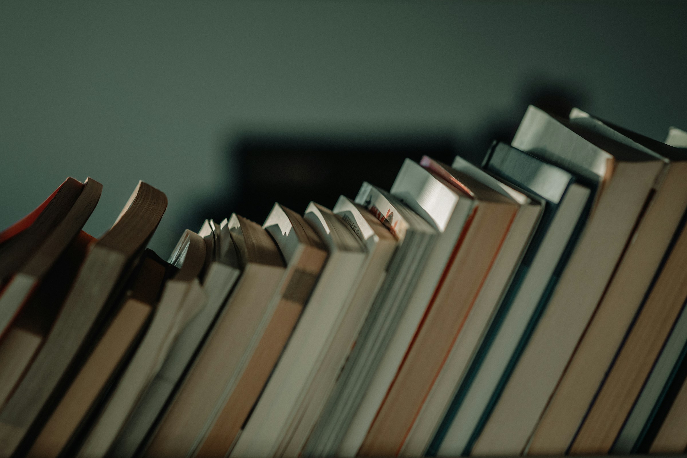 Your Essential Reading List: The Best Books to Read This Year