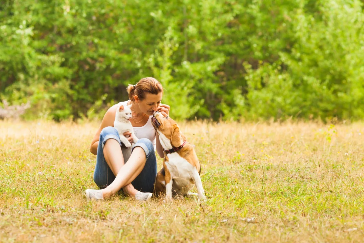 Une femme accroupie dans un champ herbeuxjoue avec deux petits chiens—un blanc et un brun—par une journée ensoleillée, avec des arbres verts en arrière-plan.
