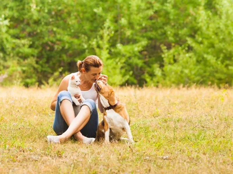 Une femme accroupie dans un champ herbeuxjoue avec deux petits chiens—un blanc et un brun—par une journée ensoleillée, avec des arbres verts en arrière-plan.