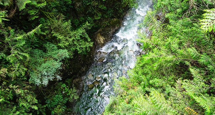 2ce77e1e-96b4-4582-9ae9-22579568962a