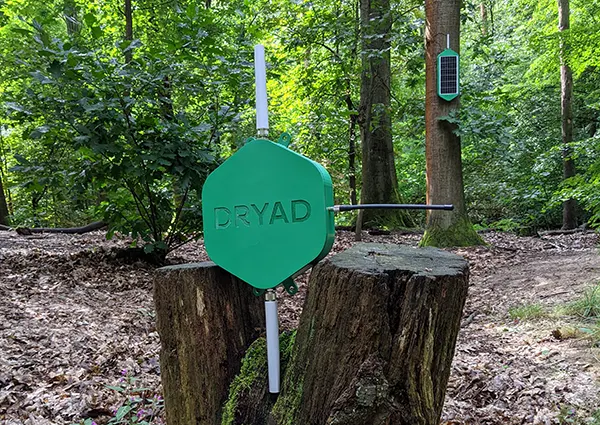 Dryad Networks' Silvanet wildfire detection system