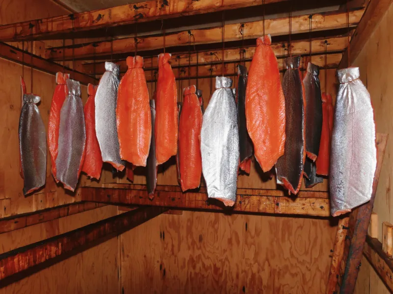 Des saumons fumés à froid au bois d’érable selon une méthode traditionnelle autochtone, au fumoir Musquaro.