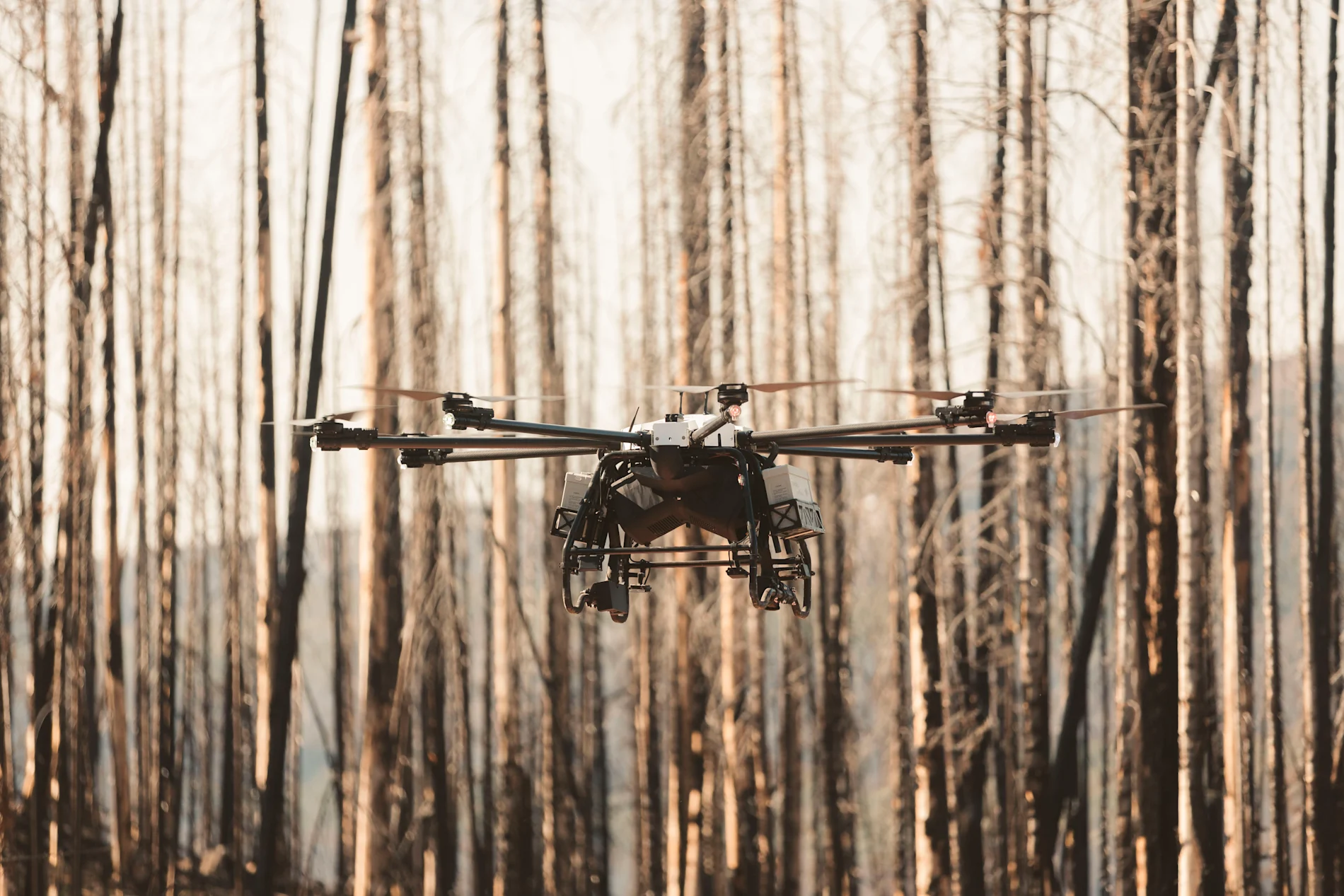 Heavy-duty drone hovering in mid-air in front of tall, burnt tree trunks.