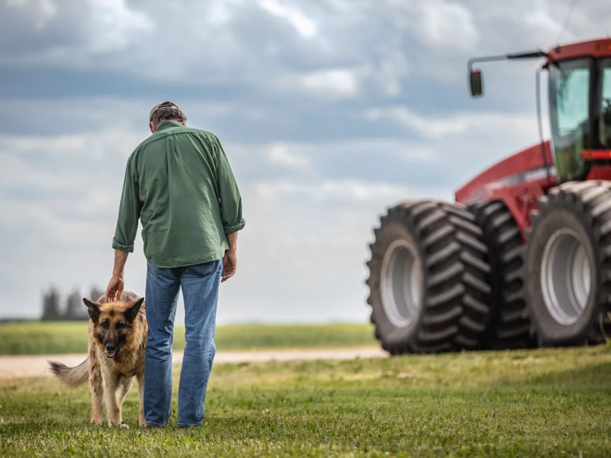 Un agriculteur caresse son chien dans un champ près de son tracteur rouge.
