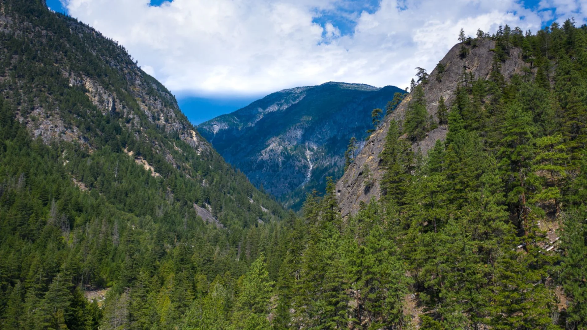 View up Kwoiek Watershed