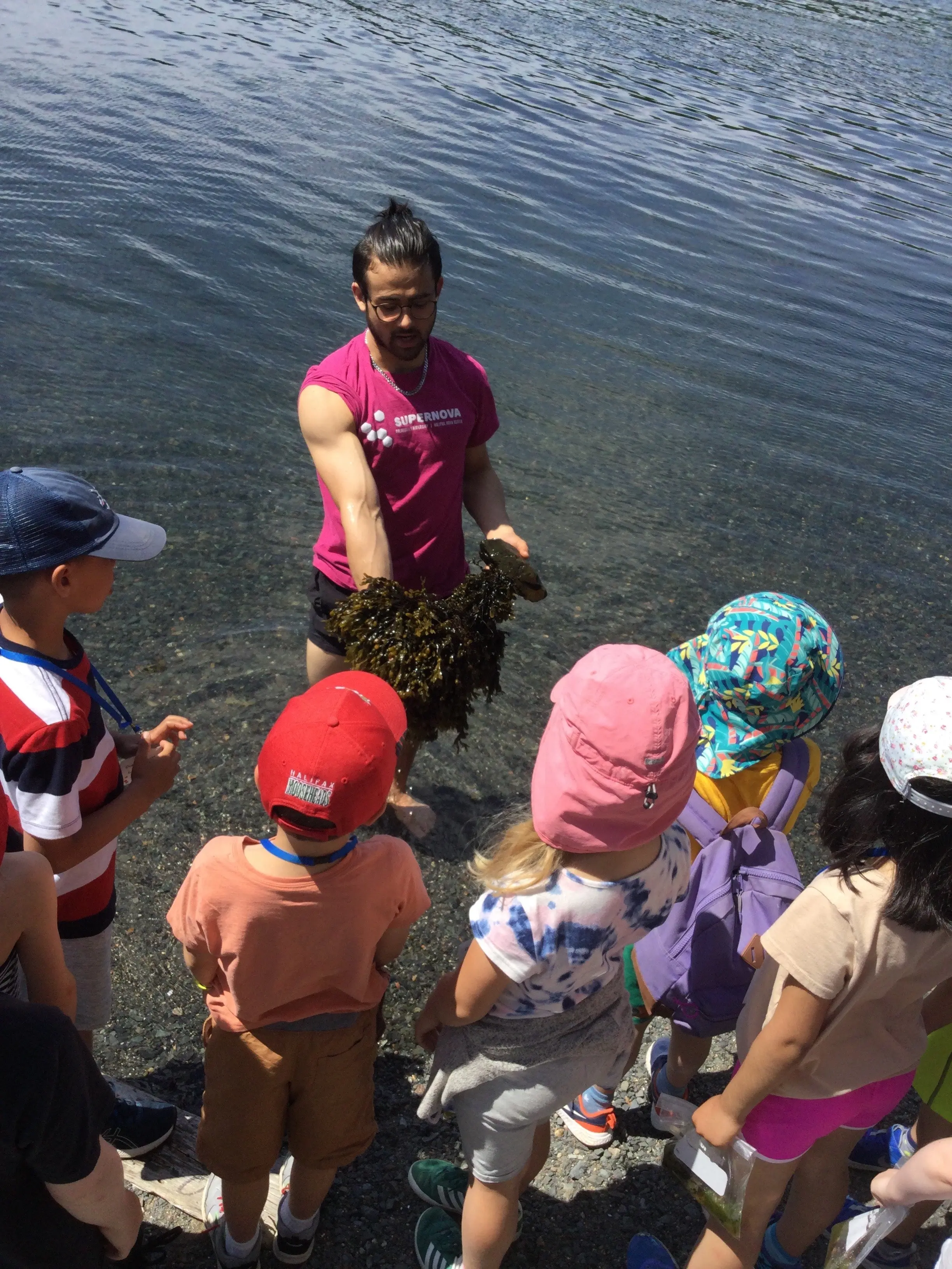 A SuperNOVA instructor holding up an aquatic plant for a group of students to observe as they stand by the ocean shore.