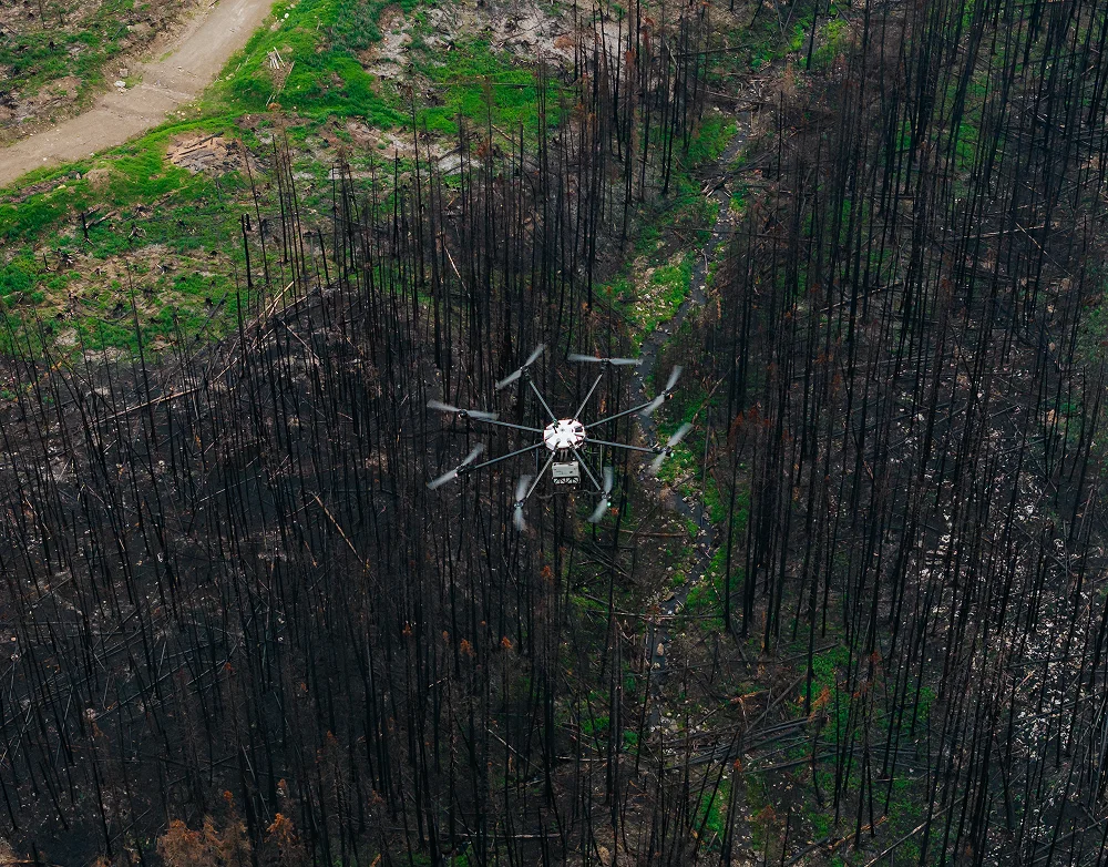 Aerial shot of a heavy-duty drone flying over a burned forest recovering with green undergrowth.