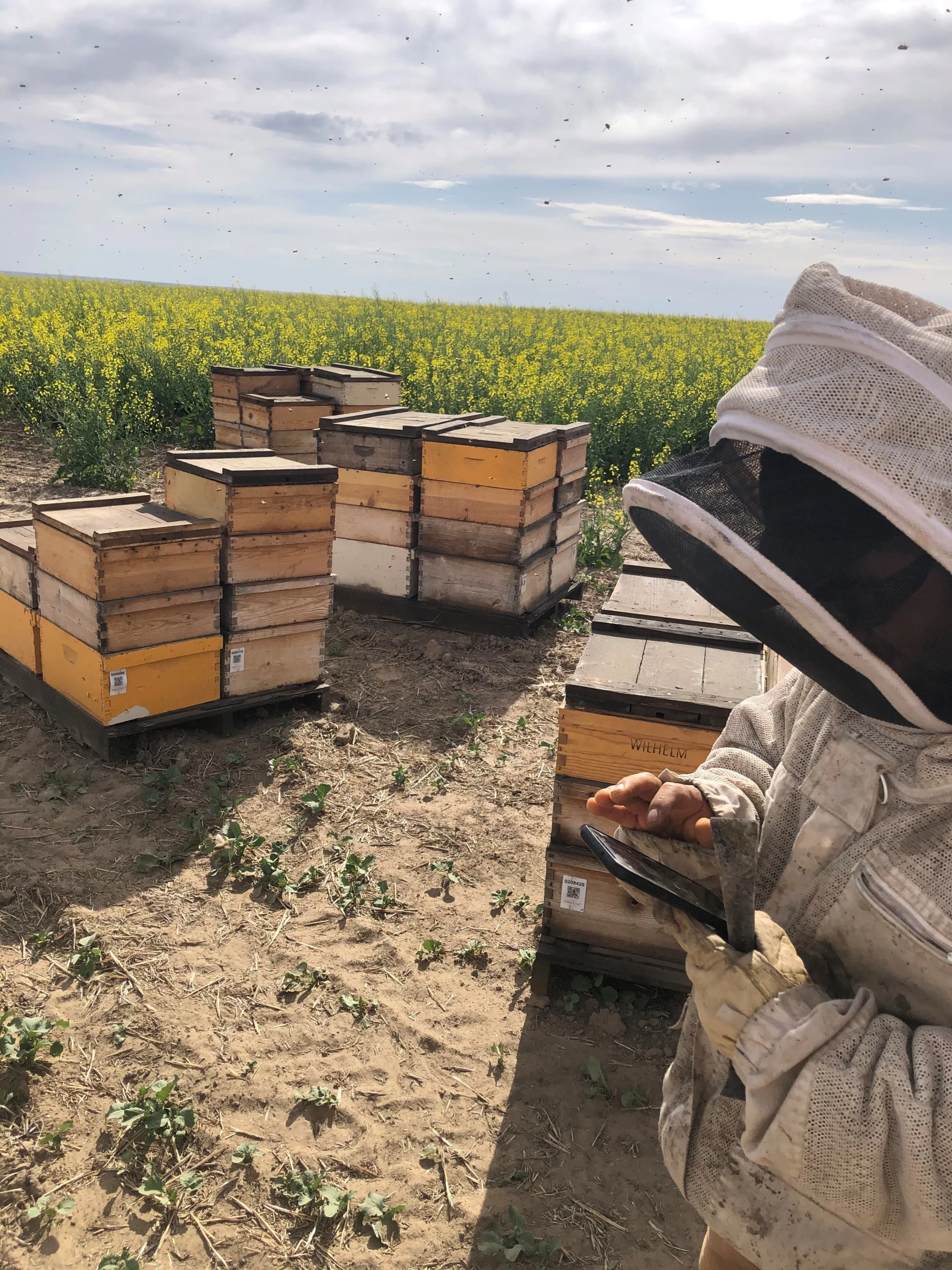 Un apiculteur amassant des données grâce à la technologie de Nectar.