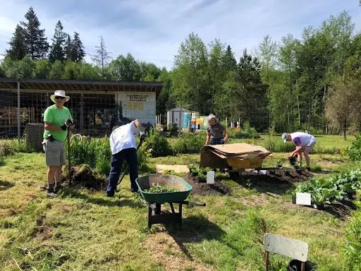 Social Impact - Connecting Canada - TELUS Community Ambassadors: A connection deeply rooted in community giving - Image